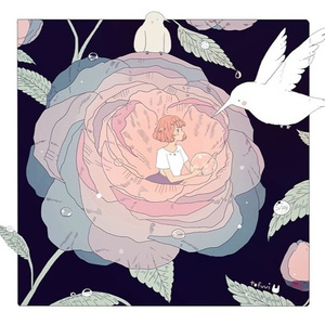 商用流量小狼导航
