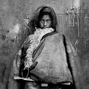 商用流量小狼导航
