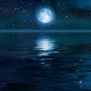 商用流量小狼导航
