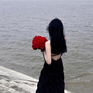 商用流量小狼导航
