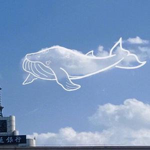 商用流量小狼导航
