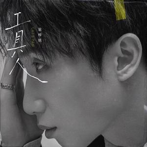 商用流量小狼导航
