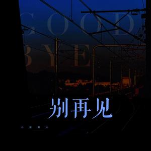 商用流量小狼导航
