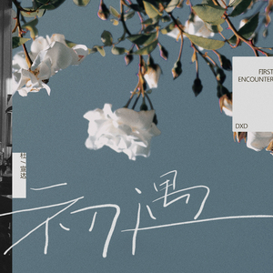 商用流量小狼导航
