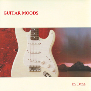 商用流量小狼导航
