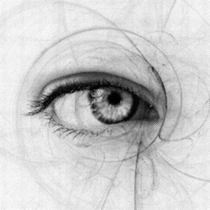 商用流量小狼导航
